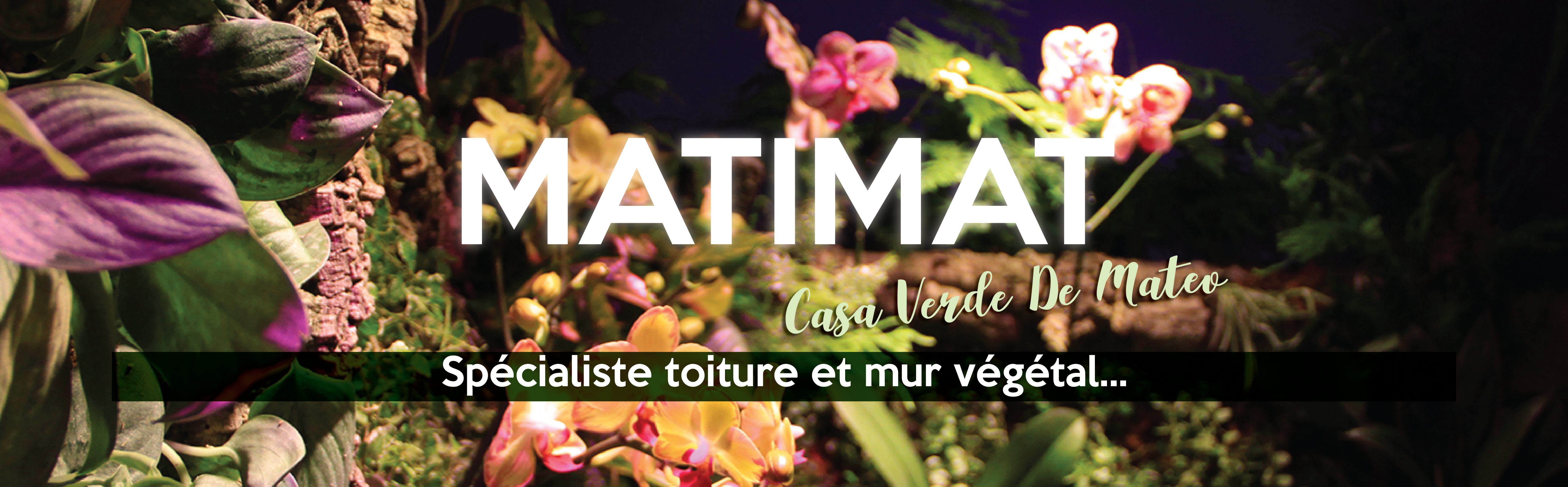 Matimat